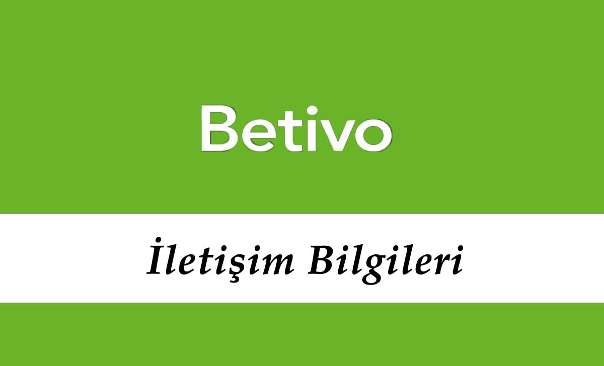 Betivo İletişim Bilgileri